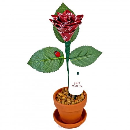 Cornell Personalized Desk Rose