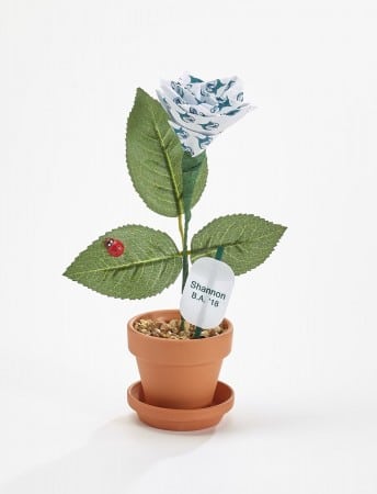 GCSU Personalized Desk Rose