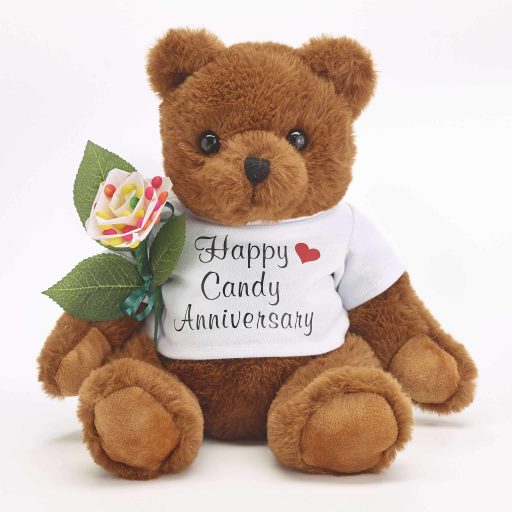 6th Anniversary Teddy Bear