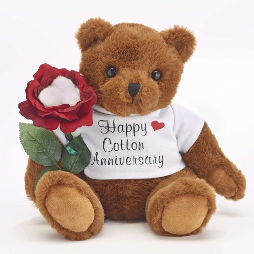 2nd Anniversary Teddy Bear