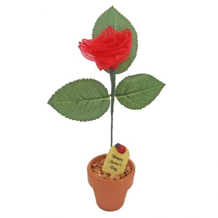 Mother's Day JustDeskRose